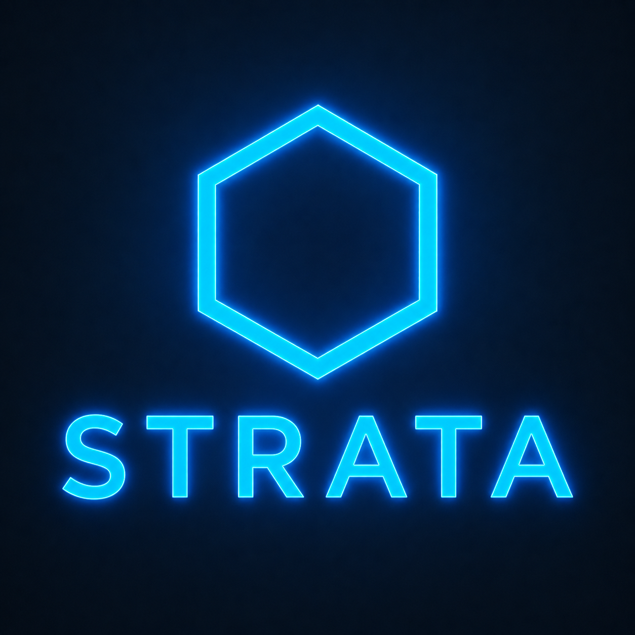 Strata Security